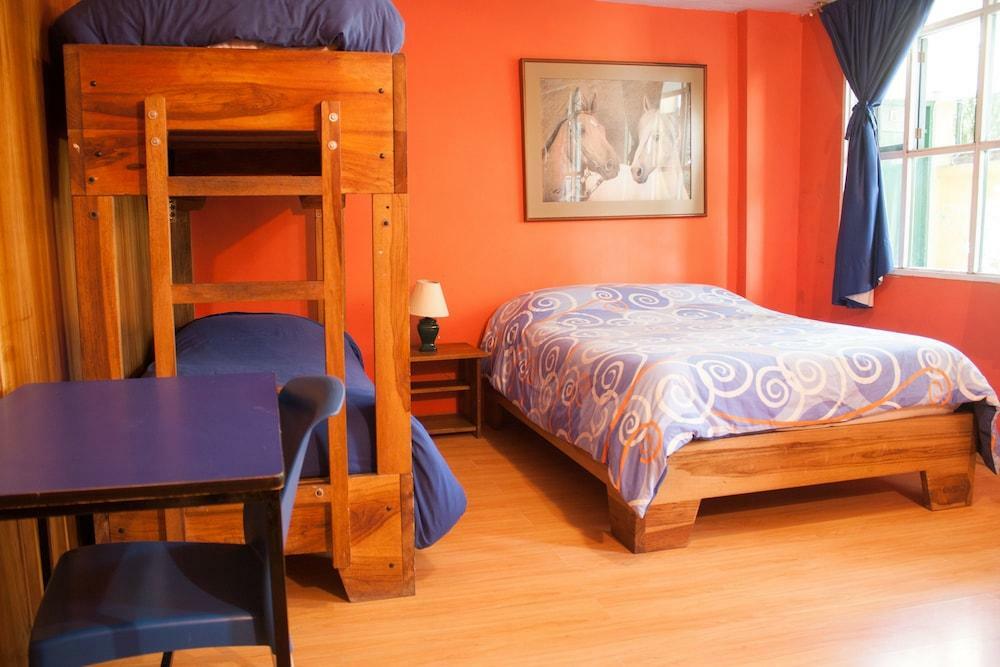 Hostal Alcala Quito Dış mekan fotoğraf